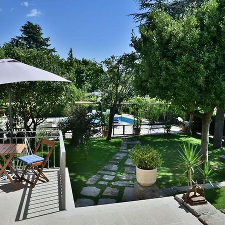 Douro Mool Guest House Lamego Zewnętrze zdjęcie