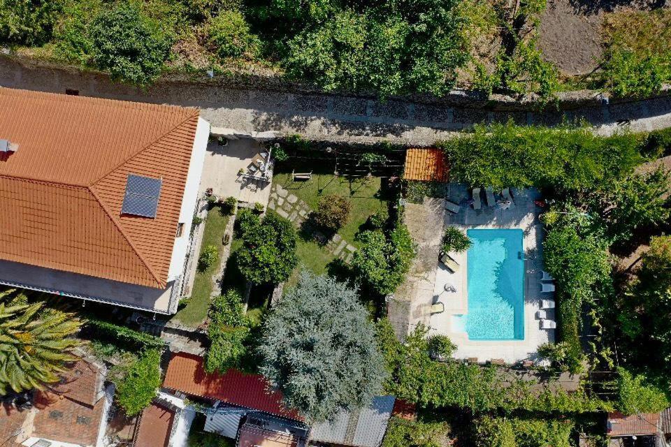 Douro Mool Guest House Lamego Zewnętrze zdjęcie